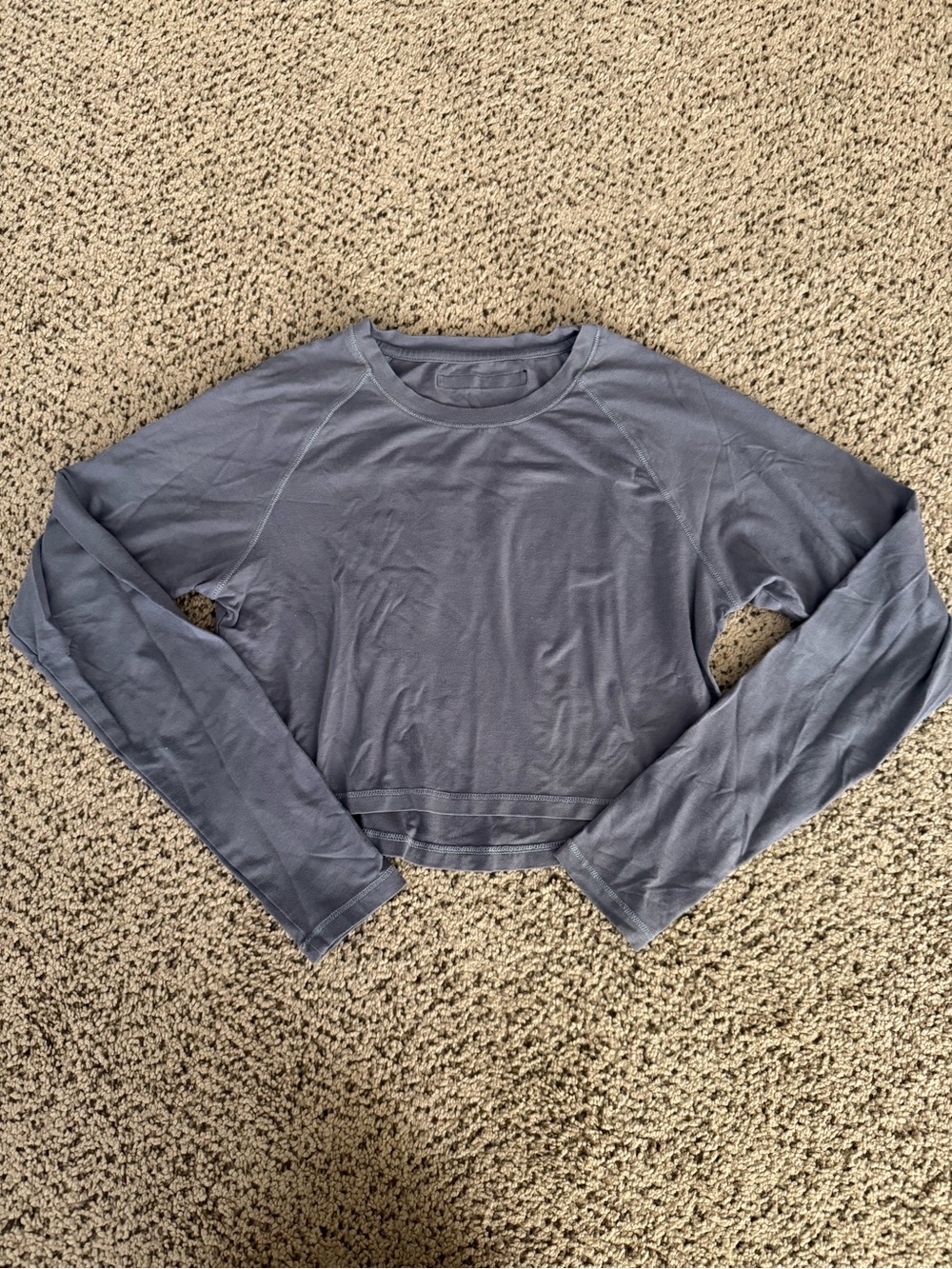 Alphalete cotton long sleeve crop in grey